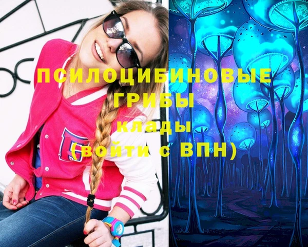 MDMA Premium VHQ Краснослободск
