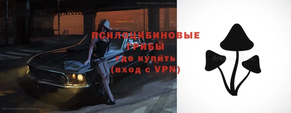 ПСИЛОЦИБИНОВЫЕ ГРИБЫ Крымск