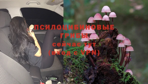 дживик Краснотурьинск