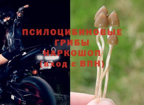 таблы Корсаков